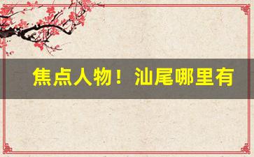 焦点人物！汕尾哪里有卖小目标烟“单忧极瘁”