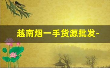 越南烟一手货源批发-越南本地热销烟图片大全
