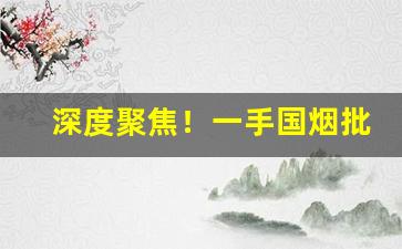 深度聚焦！一手国烟批发厂家“蜂攒蚁聚”