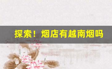 探索！烟店有越南烟吗“乘间击瑕”